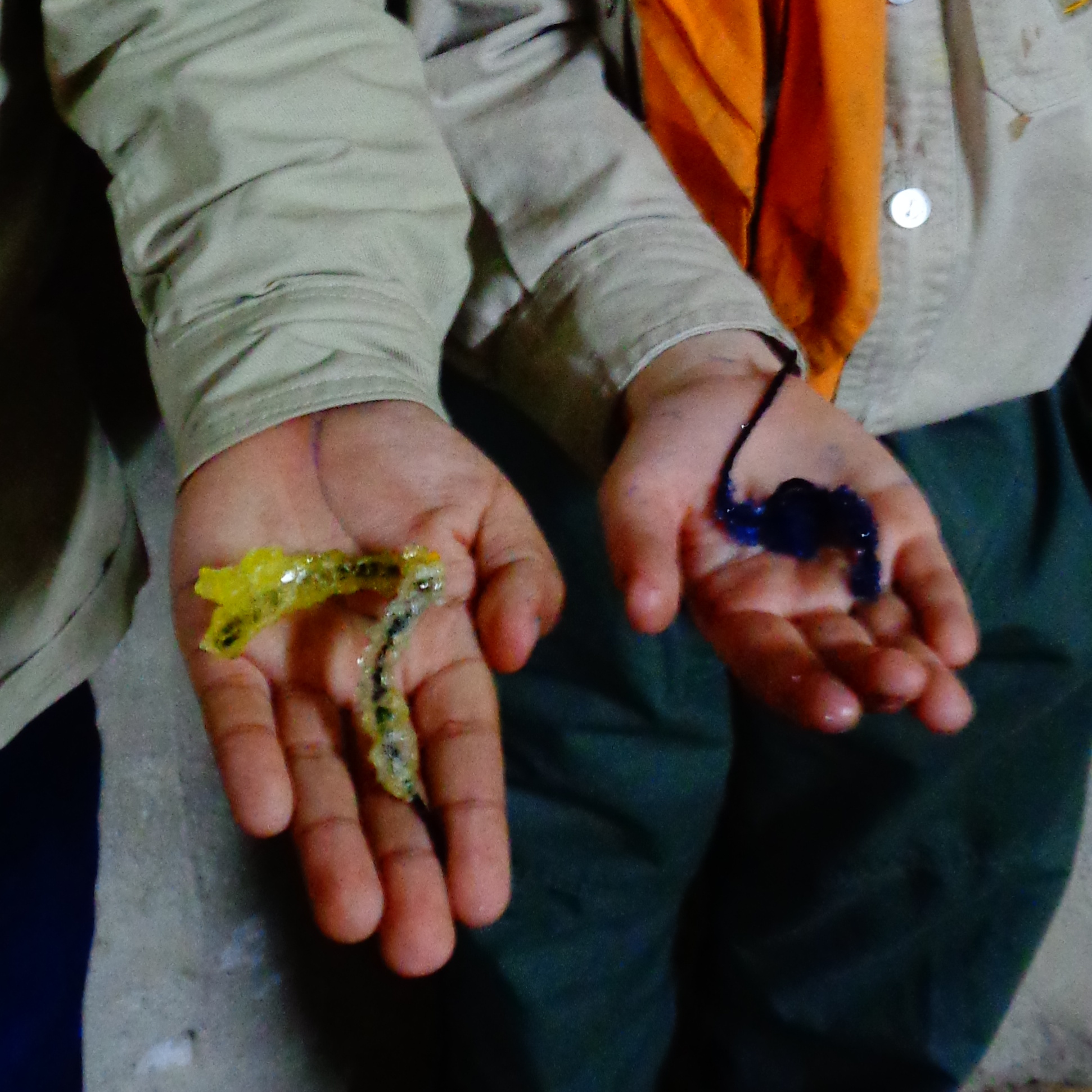 Zwei JUngen zeigen stolz ihre selbstgezüchteten Kristalle