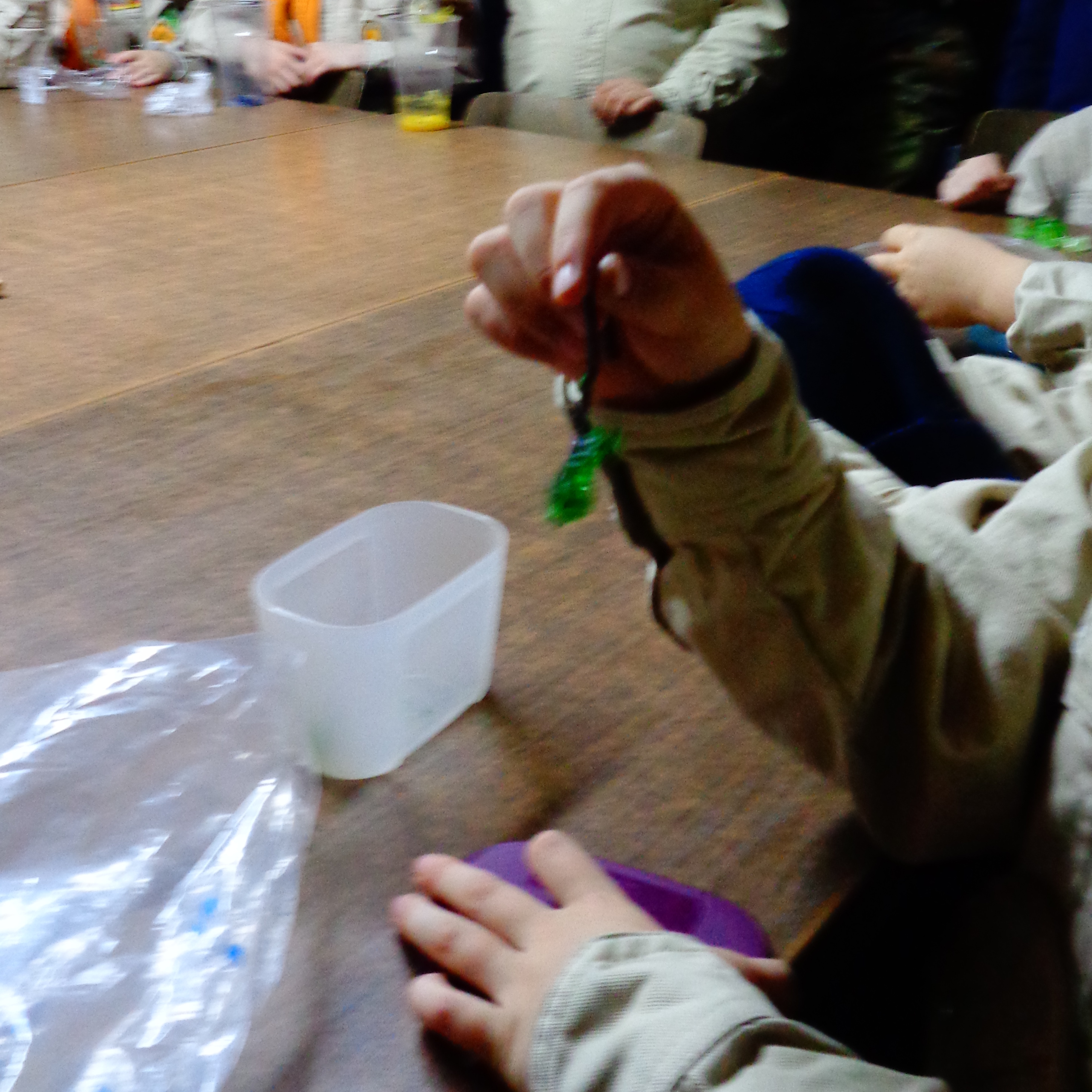 Ob grün, blau, rot oder gelb: Alle KRistalle sind schön geworden