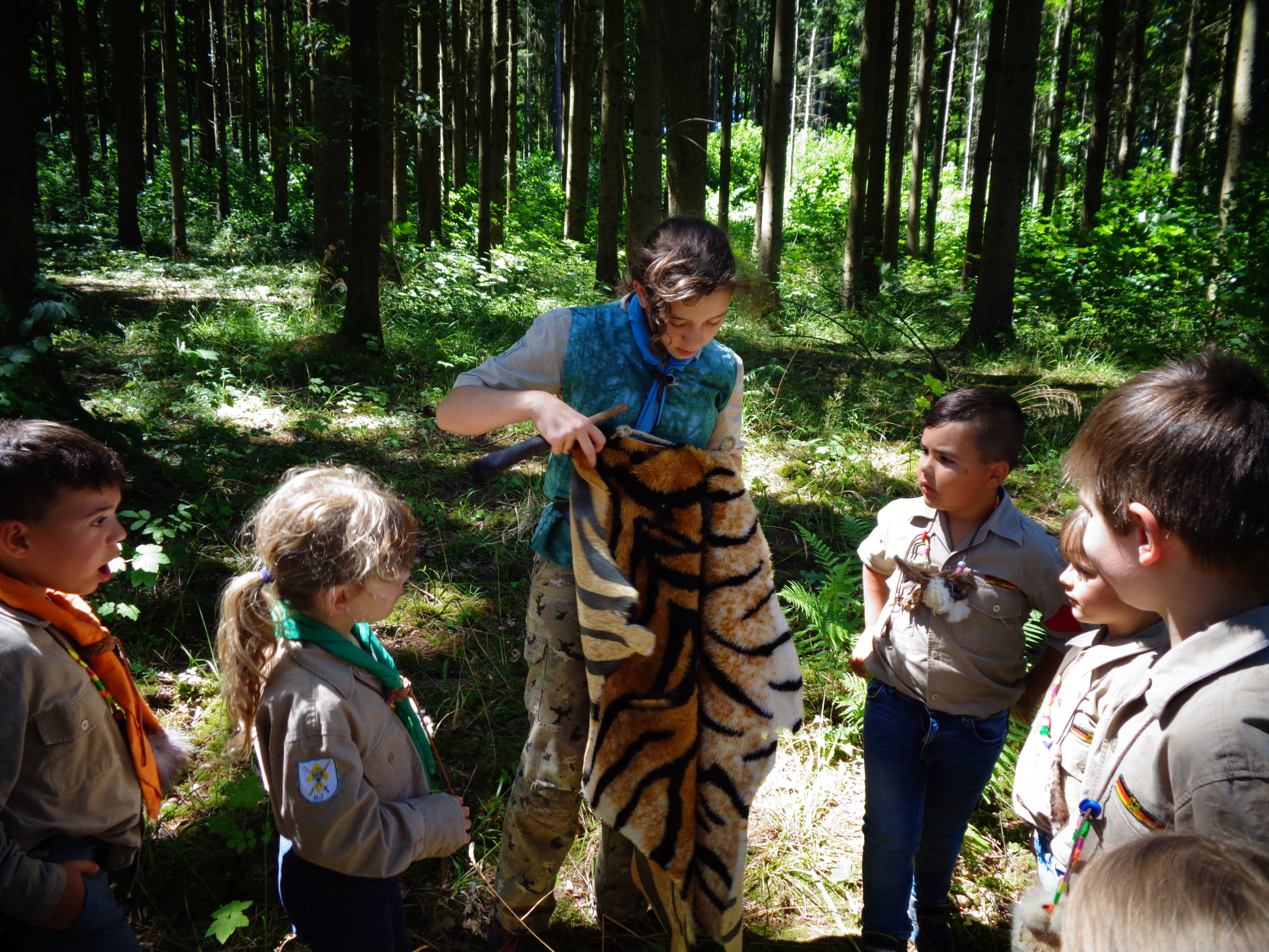 Beeindruckt sind die Wölflinge vo Fell des Tigers