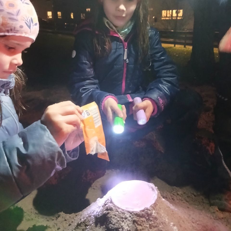 Stolz sind die Pfadfinderinnen auf ihren Vulkan