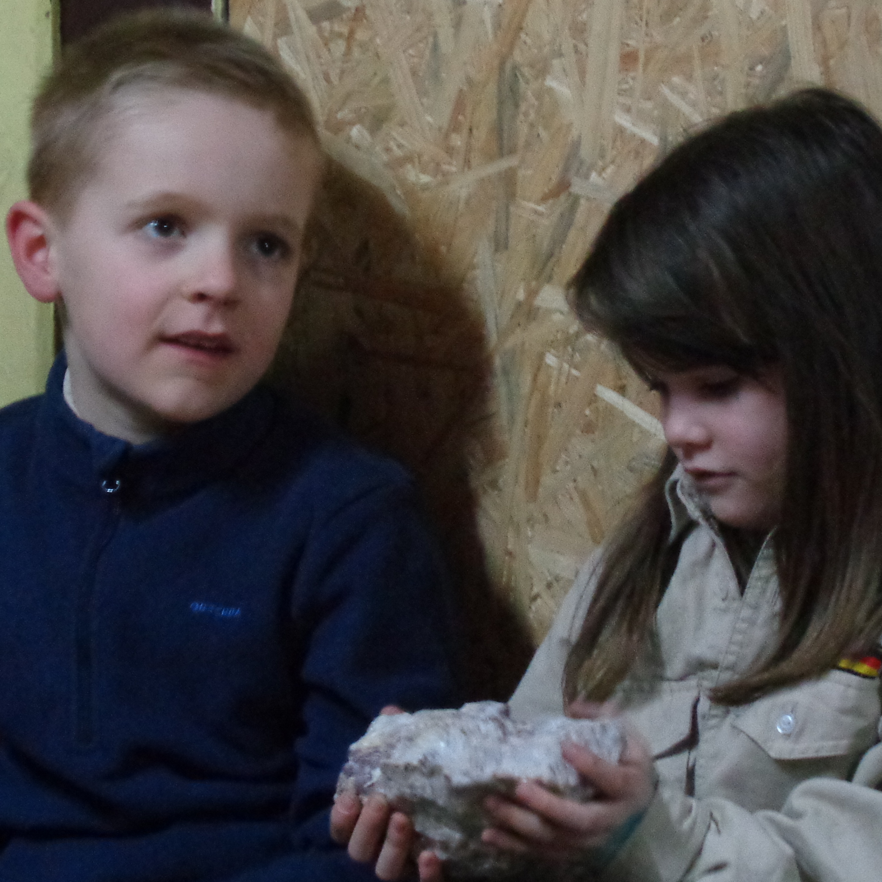 Die Jungen und Mädchen befühlen interessiert die Gesteine