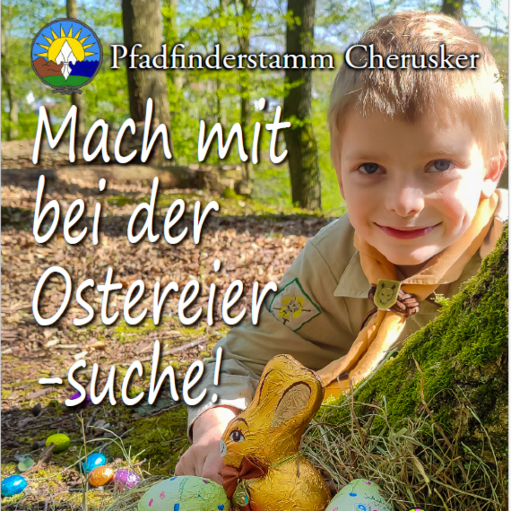 Pfadfinder im Wald sucht Ostereier