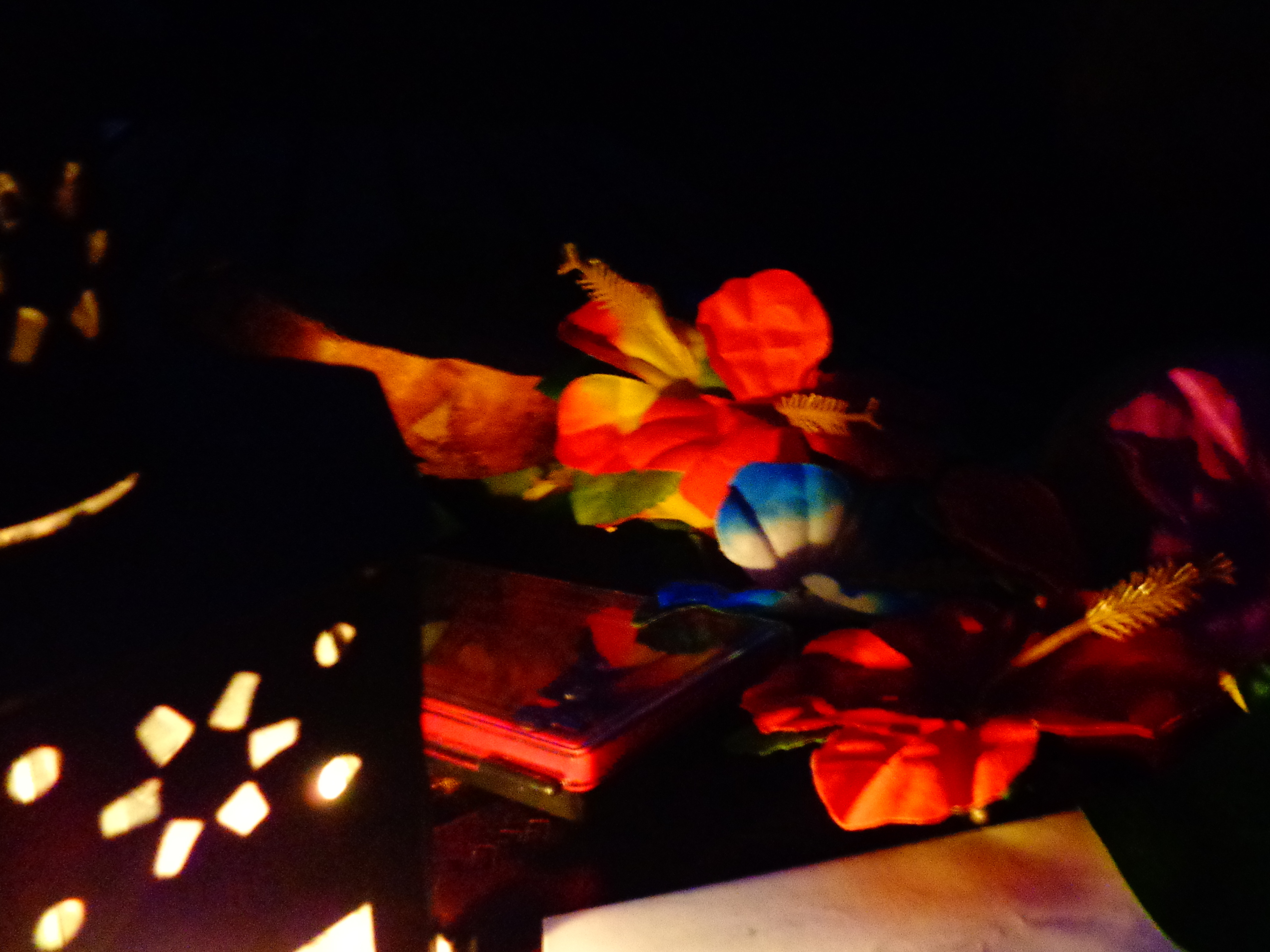 Auch ohne LIcht entdecken die Kinder schon die ersten exotischen Pflanzen