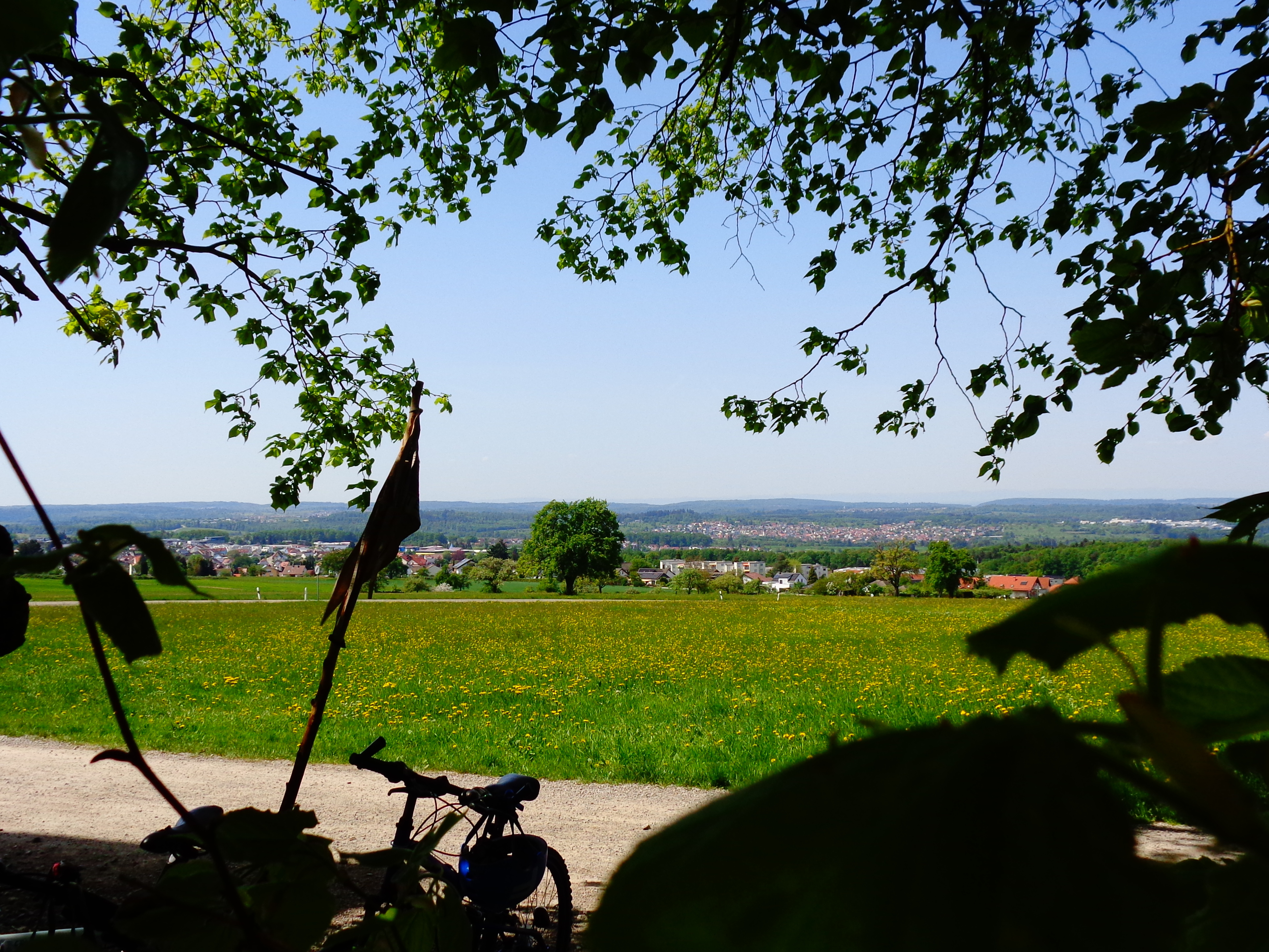 Bei strahlendem Sonnenschein treffen wir uns an der Schwanner Warte
