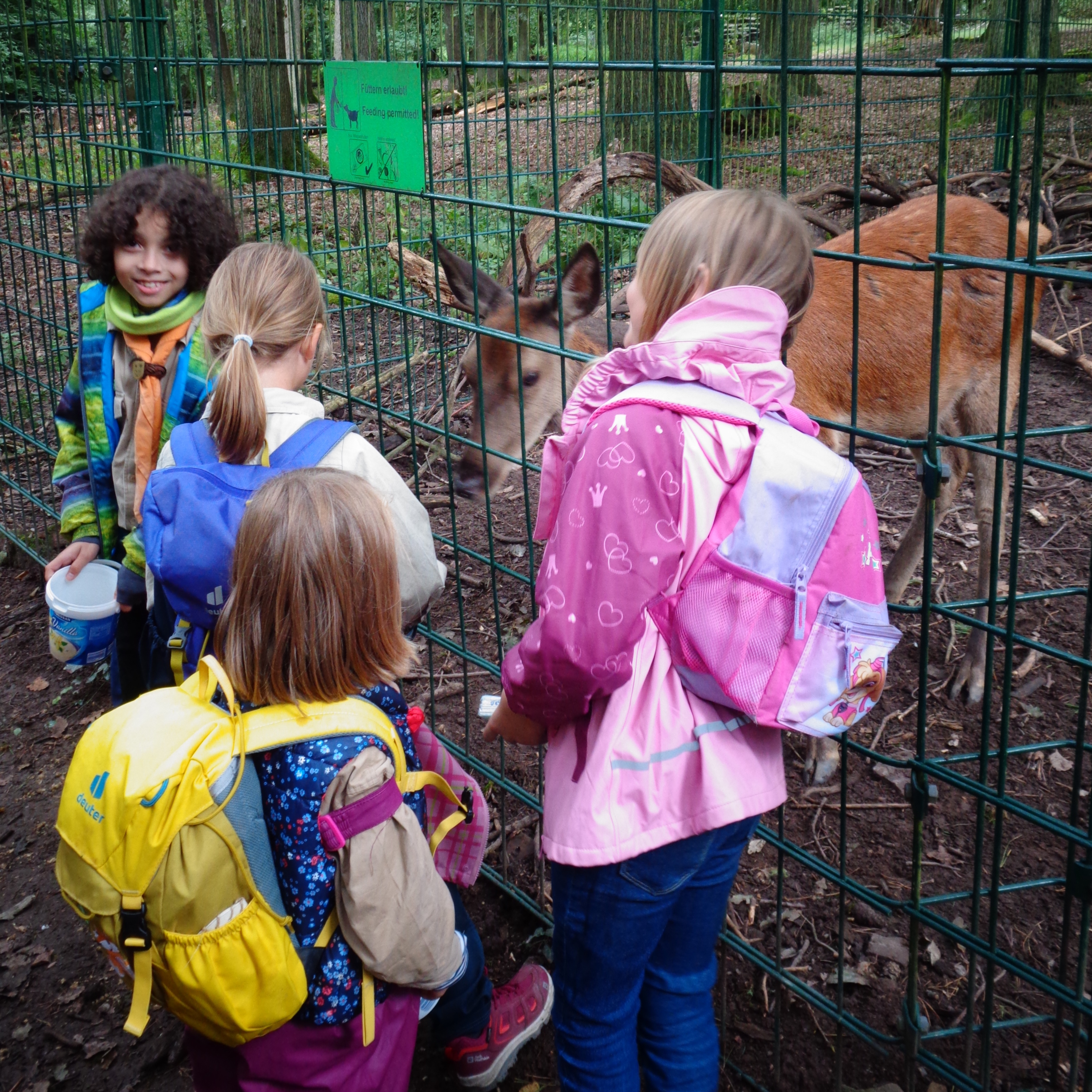 Fröhlich betrachten die Kinder ein Reh im Gehege