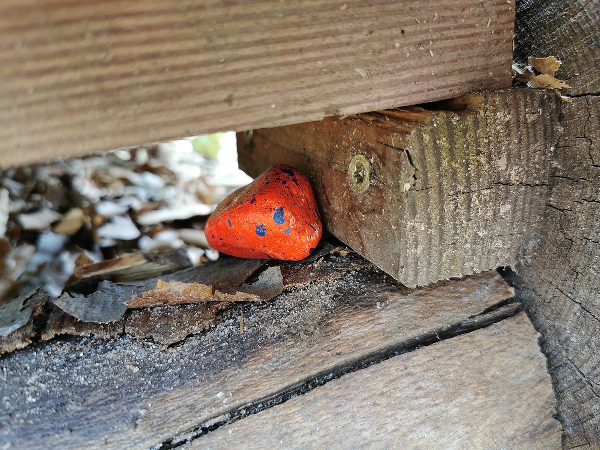 Als Eier haben die Wölflinge bunte Steine im Park versteckt