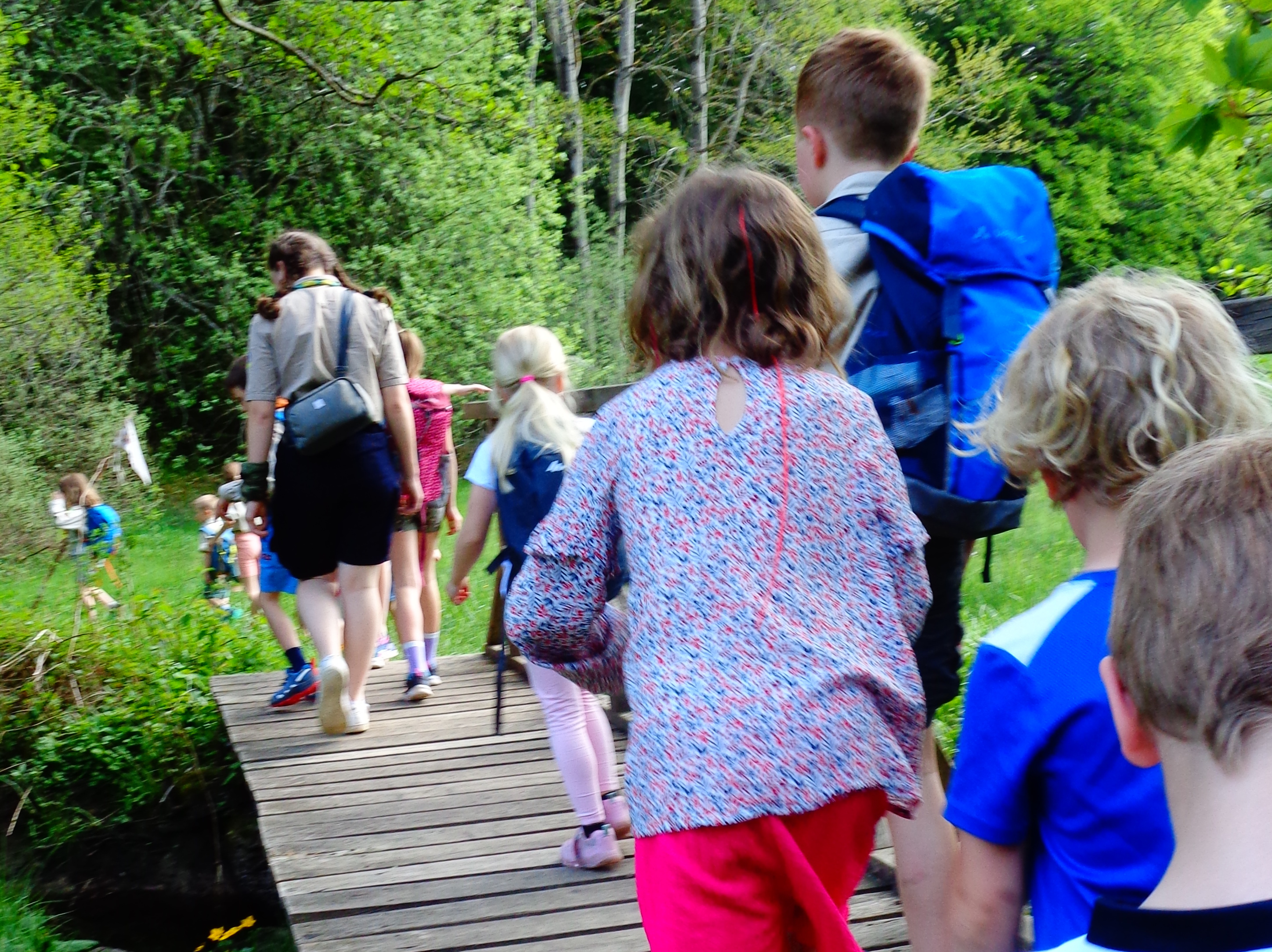 Über eine Brücke laufen Wölflinge in den Wald